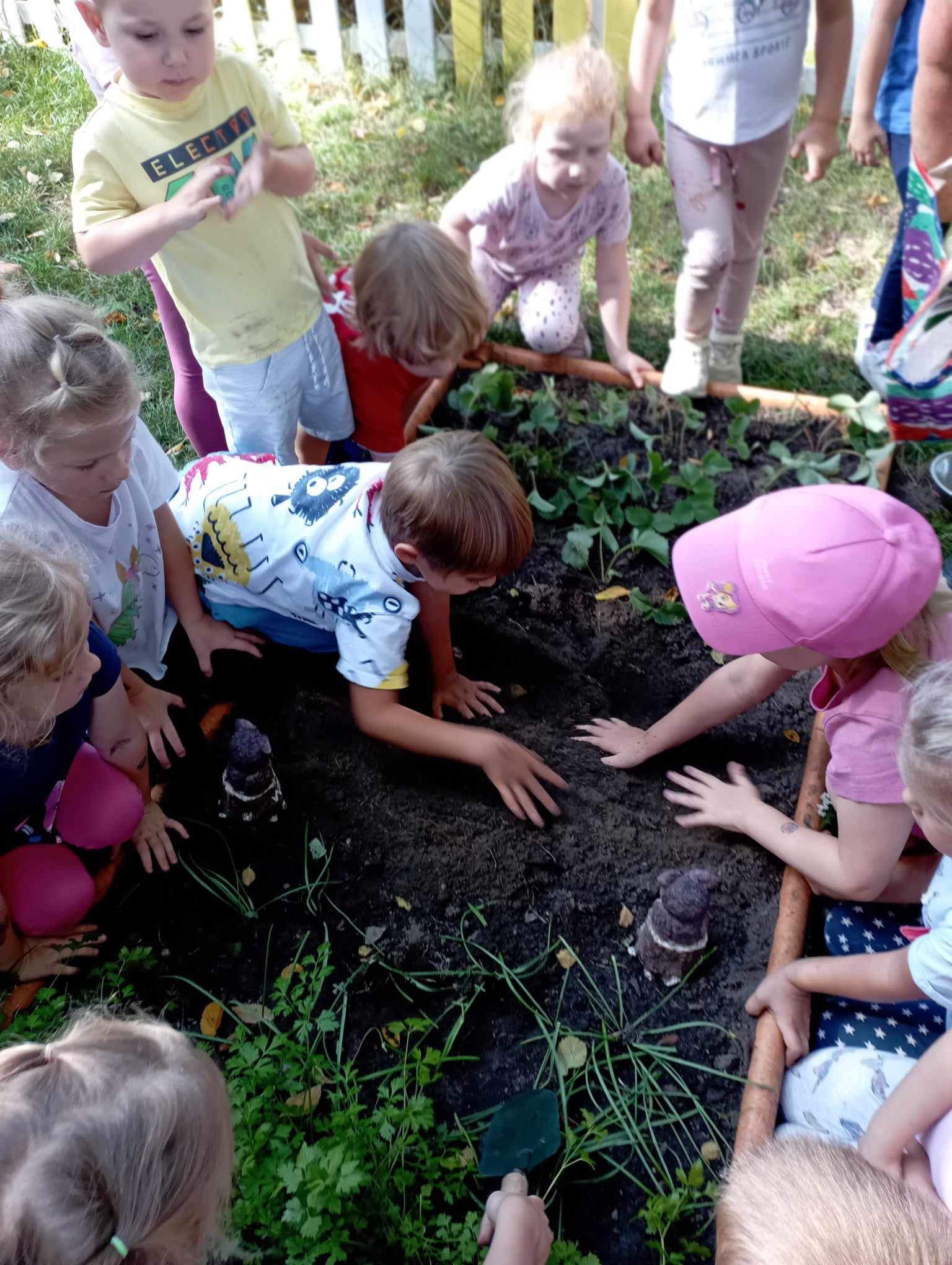 Sówki sadzą cebulki tulipanów Przedszkole Miejskie nr 112