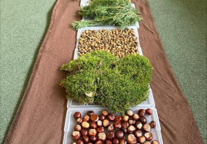 dzieci chodzą boso po jesiennej ścieżce sensorycznej z materiałów naturalnych