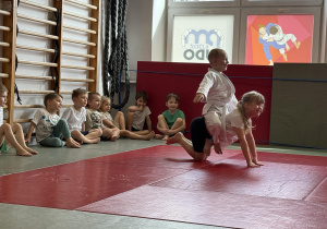 zajęcia judo