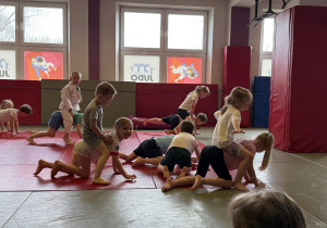 zajęcia judo