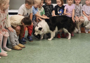 Zajęcia z Dogoterapii u Misiów