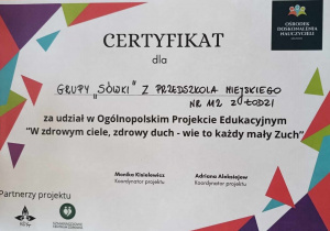 Certyfikat dla Grupy Sówek za udział w projekcie