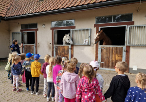 dzieci przyglądają się koniom stojącym w stajni