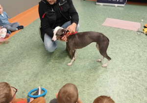 Wolontariusz Fundacji Working Dogs prezentuje dzieciom psa