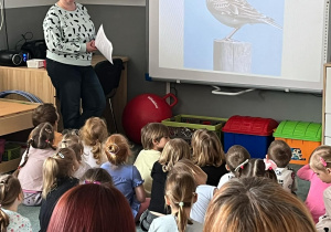 Dzieci siedzą przed tablicą interaktywną, na której wyświetlone jest zdjęcie skowronka. Nauczycielka rozmawia z dziećmi na temat wyglądu i ciekawostek związanych z tym ptakiem