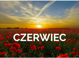 Czerwiec u Misiów