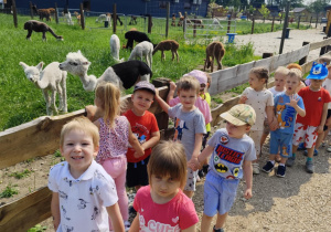 Dzieci podczas spaceru po Mini Zoo "Dobronianka"