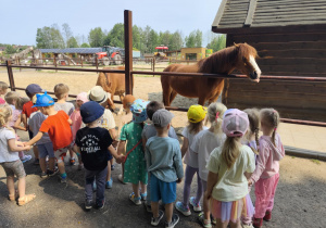 Dzieci podczas obserwowania koni w zoo.
