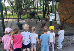Dzieci podczas obserwowania pawi w zoo.