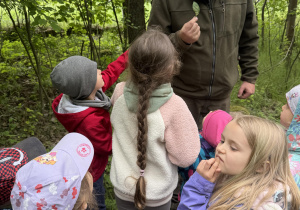 dzieci podczas spaceru edukacyjnego z leśnikiem