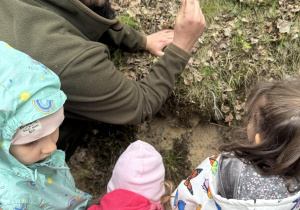 dzieci podczas spaceru edukacyjnego z leśnikiem