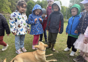 dzieci w towarzystwie psa pilnującego