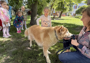 dzieci podczas zajęć edukacyjnych z psem Martynki- Beniem