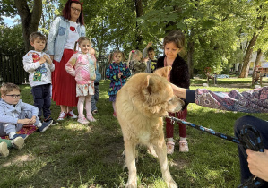 dzieci podczas zajęć edukacyjnych z psem Martynki- Beniem