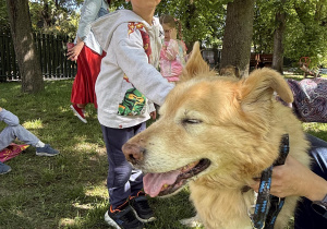 dzieci podczas zajęć edukacyjnych z psem Martynki- Beniem