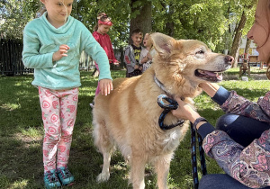 dzieci podczas zajęć edukacyjnych z psem Martynki- Beniem
