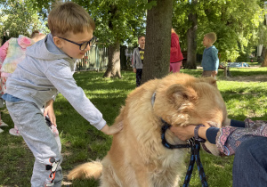 dzieci podczas zajęć edukacyjnych z psem Martynki- Beniem