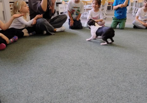 zajęcia edukacyjne z psem Cioci Moni- Ritą