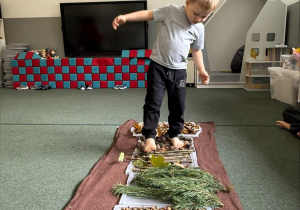 dzieci chodzą boso po jesiennej ścieżce sensorycznej z materiałów naturalnych