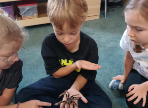 Spotkanie z ptasznikami