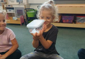 Dziewczynka obserwuje pająka ptasznika siedzącego w plastikowym pudełku