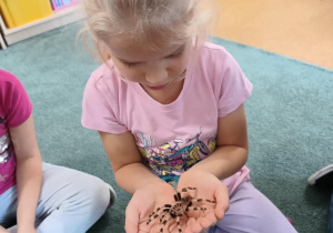 Dziewczynka trzyma na ręku wylinkę pająka ptasznika