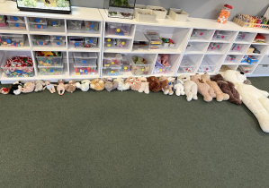 misie przyniesione na Dzień Pluszowego Misia - od najmniejszego do największego