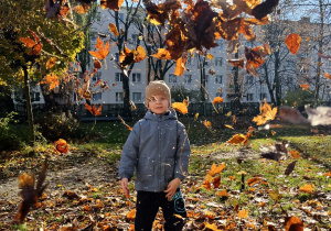 Chłopiec rzucający liśćmi w ogrodzie
