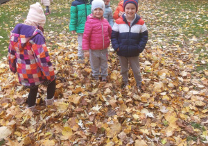 Zabawy w ogrodzie przedszkolnym