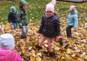 Zabawy w ogrodzie przedszkolnym