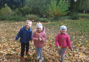 Zabawy w ogrodzie przedszkolnym