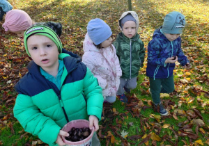 Zabawy w ogrodzie przedszkolnym