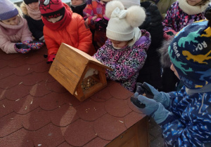 Dzieci dokarmiają ptaki