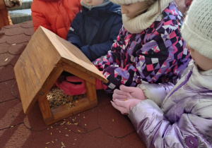 Dzieci dokarmiają ptaki