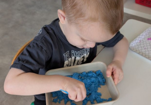 POSZUKIWACZE DINOZAURÓW