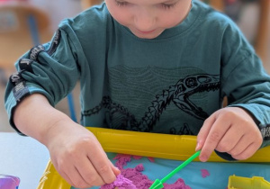 POSZUKIWACZE DINOZAURÓW