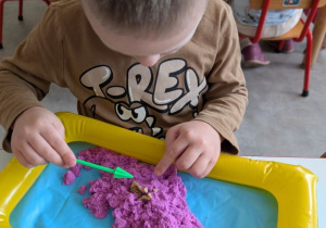 POSZUKIWACZE DINOZAURÓW