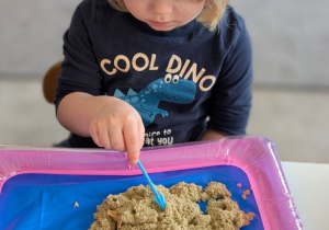 POSZUKIWACZE DINOZAURÓW