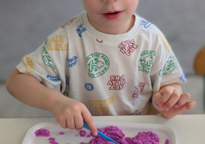 POSZUKIWACZE DINOZAURÓW