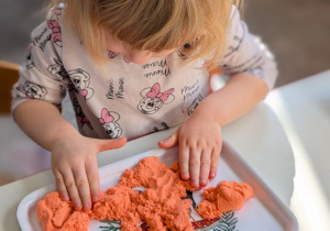 POSZUKIWACZE DINOZAURÓW