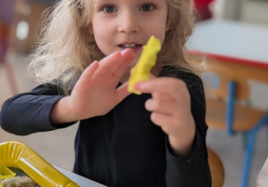 POSZUKIWACZE DINOZAURÓW