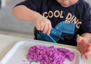 POSZUKIWACZE DINOZAURÓW