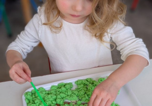 POSZUKIWACZE DINOZAURÓW