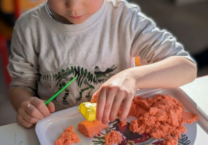 POSZUKIWACZE DINOZAURÓW