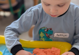 POSZUKIWACZE DINOZAURÓW