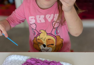 POSZUKIWACZE DINOZAURÓW