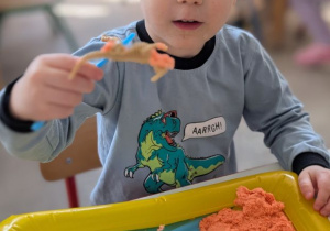 POSZUKIWACZE DINOZAURÓW