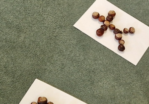 ludziki ułożone z kasztanów