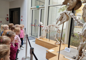 dzieci oglądają szkielety zwierząt