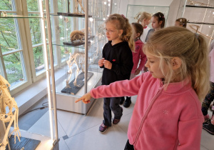 dzieci oglądają szkielety zwierząt